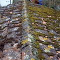 Roof Before.JPG